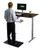 Premier 52" Silver Dual Motor Electric Office Adjustable Standing Desk - 808230003477