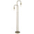 Homeroots Lighting Perret 2-Light Aged Brass Floor Lamp