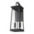 Homeroots Lighting Alden 2-Light Wall Light, Matte Black Finish