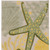 8' Green And Yellow Starfish Indoor Outdoor Runner Rug