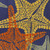 9' X 12' Blue Yellow And Orange Starfish Indoor Outdoor Area Rug