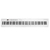 Folding Piano Keyboard