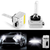 CA_D1CHIDBulbs_GPCT1229