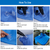 Car Air Mattress Bed 