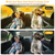 5 Pcs Car Sun Shade Side Rear Window Screen Mesh Cover 