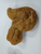 Coprolite