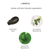  Dead Sea Bath Salt and one Eucalyptus mud mask 