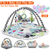 4 In 1 Baby Gym Play Mat Ball Pit Baby Lounger Safety Fence Tummy Time Mat