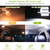 13Pcs T10 31mm Festoon LED Light Bulb