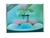 DIY Tropical Island Deluxe Bath Bomb