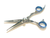 Professional German Stainless Steel Hair Cutting Trimming Barber Shears 