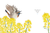 Knowing the Name of a Bird