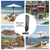 Wii Remote