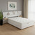 Beige Tufted Upholstered Queen Bed Frame With USB