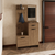 Parker Mirrored Tree Hall with Hangers, Three Shelves, Two Cabinets