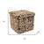 15" Plastic Animal Print Storage Ottoman