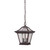 Homeroots Lighting Antique Bronze Birdhouse Shape Outdoor Hanging Light