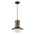 Homeroots Lighting Greta 1-Light Pendant, Raw Brass Finish, Gloss White Interior, Etched Glass Shade
