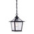 Matte Black Terrarium Shape Hanging Light - 808230006522