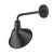 Homeroots Lighting Fuller 1-Light Wall Light, Matte Black Finish