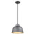 Homeroots Lighting Barnes 1-Light Gray Convertible Pendant
