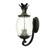 Homeroots Lighting Lanai 3-Light Wall Light in Black Coral Finish