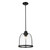 Homeroots Lighting Stanton 1-Light Matte Black Pendant