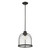 Homeroots Lighting Stanton 1-Light Oil-Rubbed Bronze Pendant