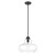 Homeroots Lighting Torrel 1-Light Matte Black Pendant