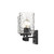 Black Metal and Pebbled Glass Two Light Wall Sconce - 808230012806