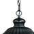 Homeroots Lighting Naples 1-Light Matte Black Hanging Light