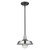 Silver Shallow Plate Adjustable Pendant Light