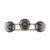 Homeroots Lighting Lunette 3-Light Sconce, Aged Brass Finish