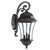 Homeroots Lighting Waverly 3-Light Wall Light, Black Coral Finish