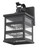 Glass panel Matte Black Outdoor Cage Light