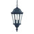 Two Light Matte Black Carousel Lantern Hanging Light
