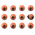 1.5" x 1.5" x 1.5" Ceramic Metal Multicolor 12 Pack Knob - 4512839594880