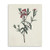 Singular Red Blossom Branch Unframed Print Wall Art