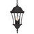 Homeroots Lighting Three Light Matte Black Carousel Lantern Hanging Light