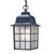Matte Black Window Pane Lantern Hanging Light