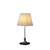 19” Classic Silver Table Lamp With Nickel Finish - 606114544753