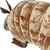 16" White And Brown Metal Armadillo Garden Hanging Wall or Door Decor