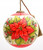 Poinsettia Flower Hand Painted Mouth Blown Glass Ornament - 606114636861