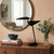 17" Black Two Light Swing Arm Bird Desk Lamp
