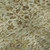 8' X 10' Wheat And Gold Floral Vines Washable Area Rug With UV Protection