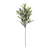 Pine Spray 