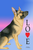 German Shepherd - Tomoyo Pitcher Love  Garden Flag 