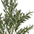 31" Green Artificial Olive In Cylindrical Black Pot