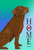 Chocolate Labrador- Tomoyo Pitcher Home Garden Flag 