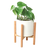 Cylinder Planter with Wood Stand 